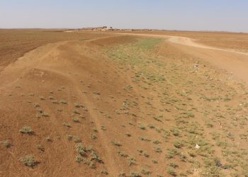 الجفاف ونتائجه السلبية على الريف الجنوبي لمدينة تل حميس