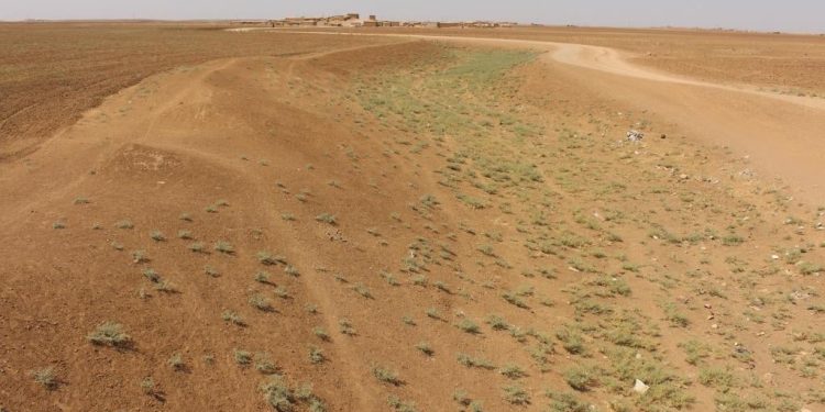 الجفاف ونتائجه السلبية على الريف الجنوبي لمدينة تل حميس