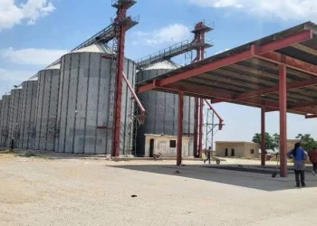  الرقة تستعد لاستقبال محصول القمح من المزارعين