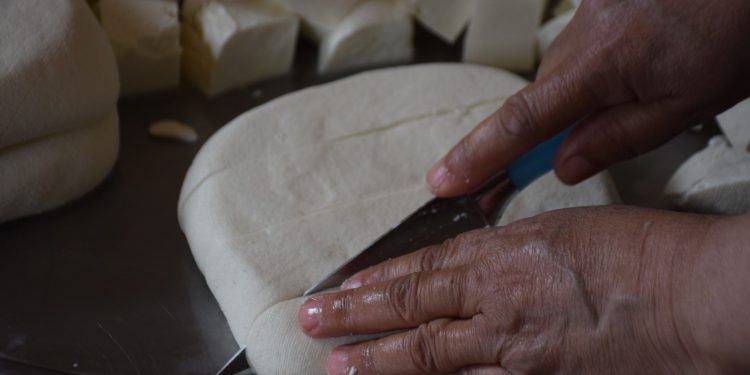من الطبيعة إلى التراث.. أيادي نساء الرقة يبدعن في إنتاج الجبنة التقليدية