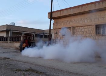الدرباسية… لمكافحة الحشرات الضارة رش المبيد الضبابي
