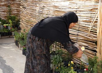 سطح بيت متواضع أصبح مشروعا زراعيا لامرأة نشيطة