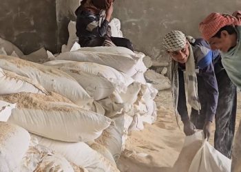 في اليوم العالمي للعمال… جهود مستمرة لإشراك الطبقة الكادحة في مؤسسات الإدارة وتحسين واقعهم