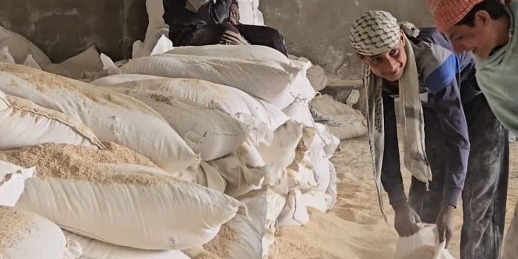 في اليوم العالمي للعمال… جهود مستمرة لإشراك الطبقة الكادحة في مؤسسات الإدارة وتحسين واقعهم