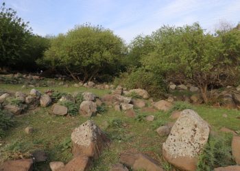 عدسة العدد 2100 من صحيفة روناهي