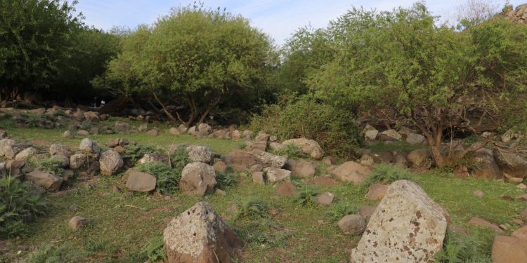 عدسة العدد 2100 من صحيفة روناهي