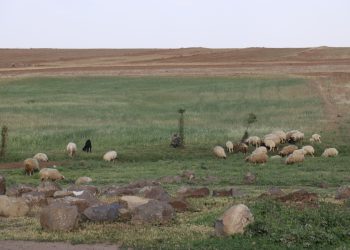 عدسة العدد 2110 من صحيفة روناهي
