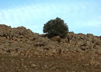 عدسة العدد 2108 من صحيفة روناهي