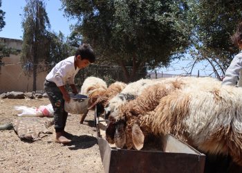 عدسة العدد 2117 من صحيفة روناهي