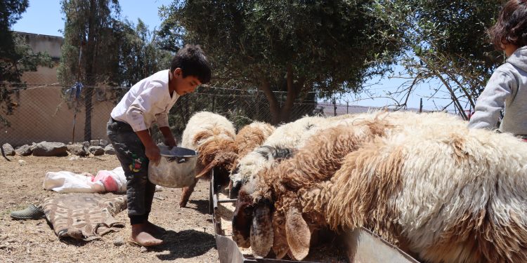 عدسة العدد 2117 من صحيفة روناهي