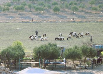 عدسة العدد 2105 من صحيفة روناهي