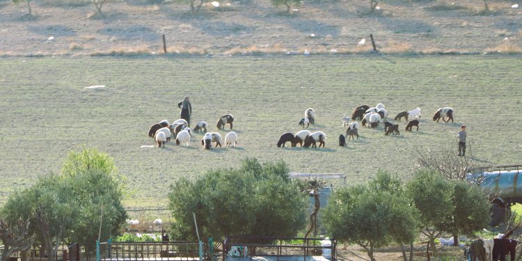 عدسة العدد 2105 من صحيفة روناهي