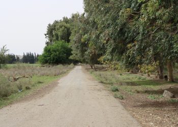 بين ظلال المشمش وأهازيج الصباح.. يومٌ في ريف الكسرات
