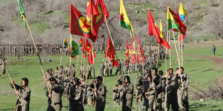 جبال كردستان أبجدية الحياة والسلام والإنسانية