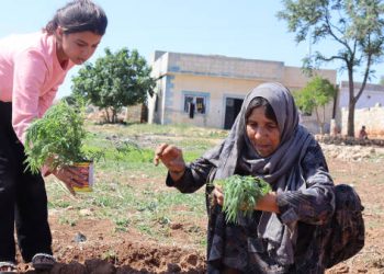 زراعة البساتين.. عمل الجدات ووسيلة لتحقيق الاكتفاء الذاتي