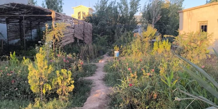 مشتل “الصعوة” في دير الزور.. واحة خضراء تواجه تحديات التمويل