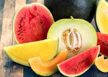 أبرزها البطيخ والأناناس.. ثمانية أطعمة تُعزز صحة الأمعاء والهضم