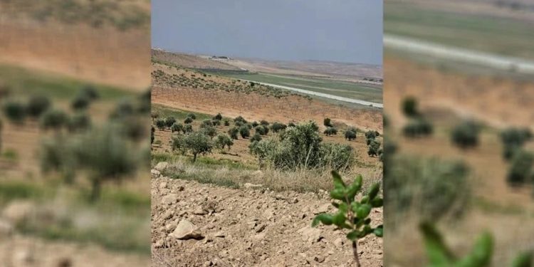 الاحتلال التركي يستهدف مزارعي كوباني