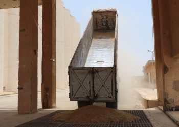 انطلاق موسم حصاد القمح في مقاطعة الطبقة وسط تراجع الإنتاج وتحديات متعددة