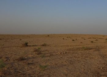 في اليوم العالمي لمكافحة التصحر والجفاف.. الطبيعة بين التحديات وسبل مكافحتها