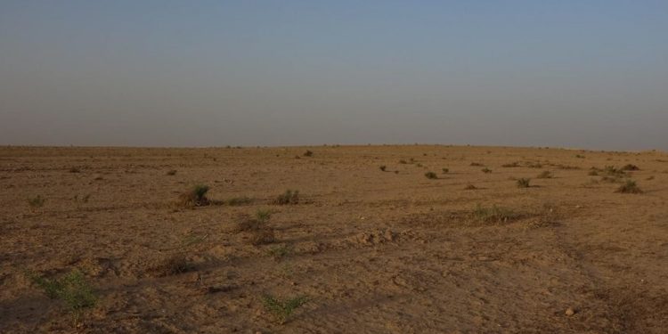 في اليوم العالمي لمكافحة التصحر والجفاف.. الطبيعة بين التحديات وسبل مكافحتها