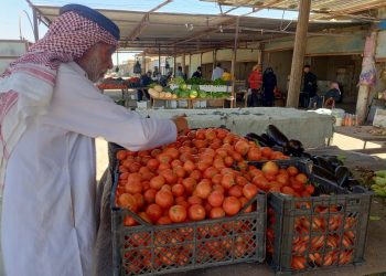 تراجع كبير بالأسعار في سوق الخضار بمدينة تل حميس وسط إقبال على الشراء