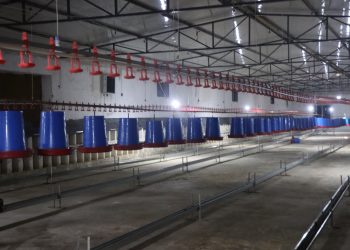 الرقة تُعيد بناء اقتصادها.. مشاريع تعاونية تُنعِش سوق العمل