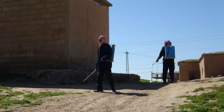 انتشار الحشرات الضارة في مدينة تل حميس وطرق مكافحتها