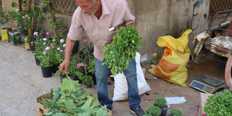 بائع متجول.. حكاية كفاح تتجول في شوارع قامشلو منذ 20 عاماً
