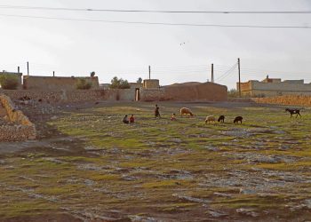 عدسة العدد 2142 من صحيفة روناهي