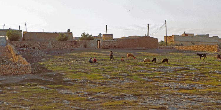 عدسة العدد 2142 من صحيفة روناهي