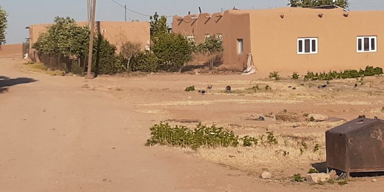 عدسة العدد2134 من صحيفة روناهي