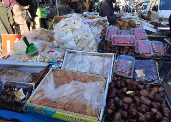 تحضيرات عيد الأضحى في الحسكة.. أجواء الفرح والتضامن تعم المدينة
