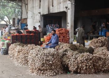 سوق الهال في الرقة.. القلب النابض لقطاع الخضار والفواكه