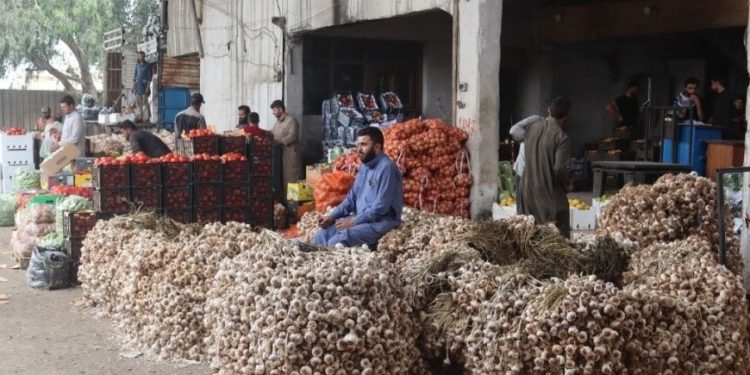 سوق الهال في الرقة.. القلب النابض لقطاع الخضار والفواكه
