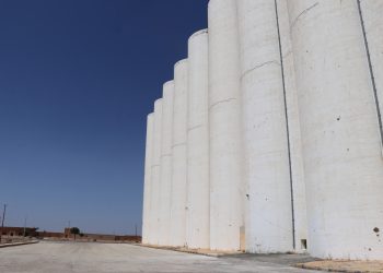 صوامع البو عاصي في الطبقة جاهزة لاستقبال محصول القمح وسط تحديات الجفاف