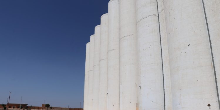 صوامع البو عاصي في الطبقة جاهزة لاستقبال محصول القمح وسط تحديات الجفاف