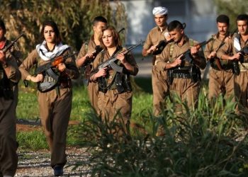 عباس والي: وحدة الصف الكردي في إيران ضمانة للحصول على حقوقهم