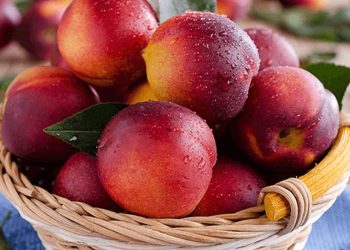 فوائد الخوخ على صحة جسمك ومناعتك