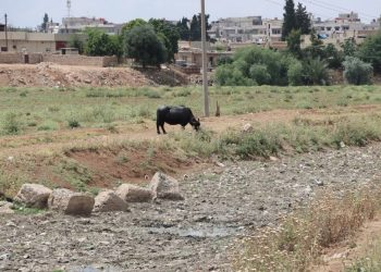 في اليوم العالمي للبيئة.. مخاطر مستمرة وحلول غائبة..!