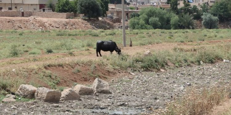 في اليوم العالمي للبيئة.. مخاطر مستمرة وحلول غائبة..!