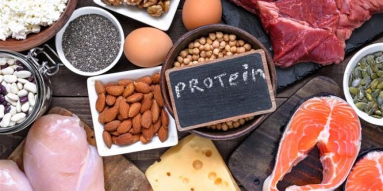  أهم الأطعمة الغنية بالبروتين