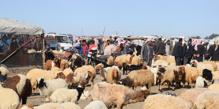 الحدادية.. بلدة الخابور الضاربة في جذور التاريخ
