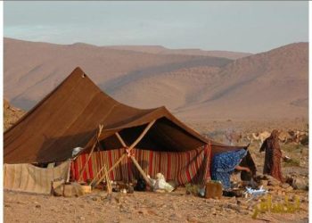  الحياة بين الماضي الجميل والحاضر بعين مسنٍّ