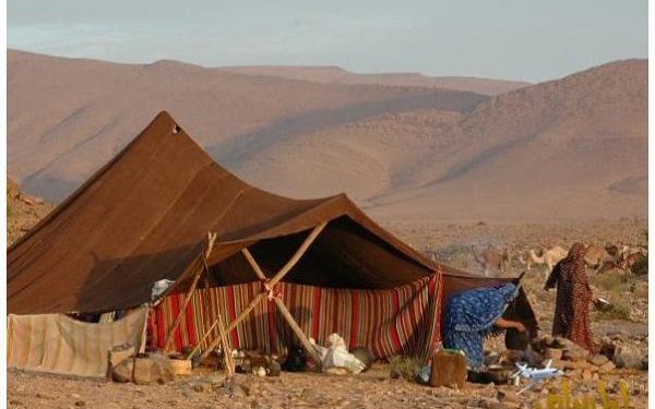  الحياة بين الماضي الجميل والحاضر بعين مسنٍّ