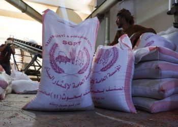 المؤسسة العامة لإكثار البذار تنهي استلام بذار القمح وتعلن كميات الإنتاج