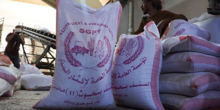المؤسسة العامة لإكثار البذار تنهي استلام بذار القمح وتعلن كميات الإنتاج