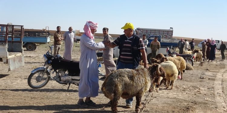 افتتاح “السوق الشعبي” في عين عيسى… ذكريات مكانية جميلة تُستعاد…!