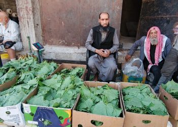 المونة… مرآة الذاكرة ومقاومة الغلاء
