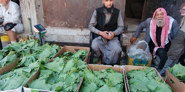 المونة… مرآة الذاكرة ومقاومة الغلاء